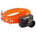 Collari Addizionali per Dogtra 620 NCP