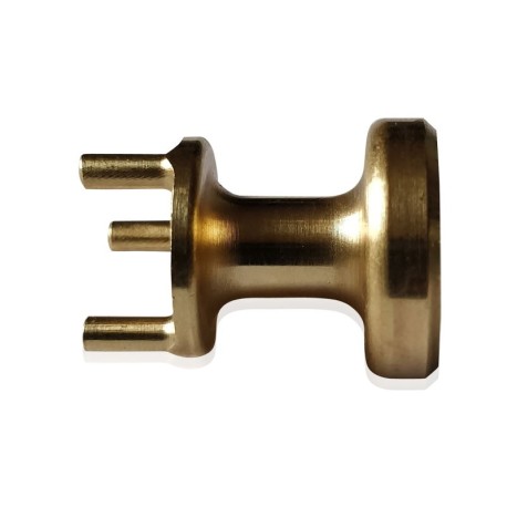 Electrodes pour colliers Dogtra
