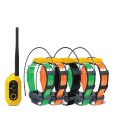 Pathfinder2 satellitare con 5 collari