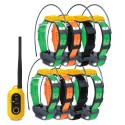 Pathfinder2 GPS avec 8 colliers