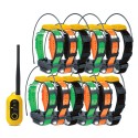 Pathfinder2 satellitare con 12 collari