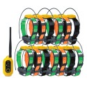 Pathfinder2 GPS with 13 collars
