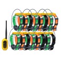 Pathfinder2 GPS with 16 collars