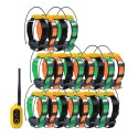 Pathfinder2 GPS avec 20 colliers