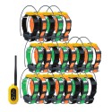 Pathfinder2 GPS avec 21 colliers
