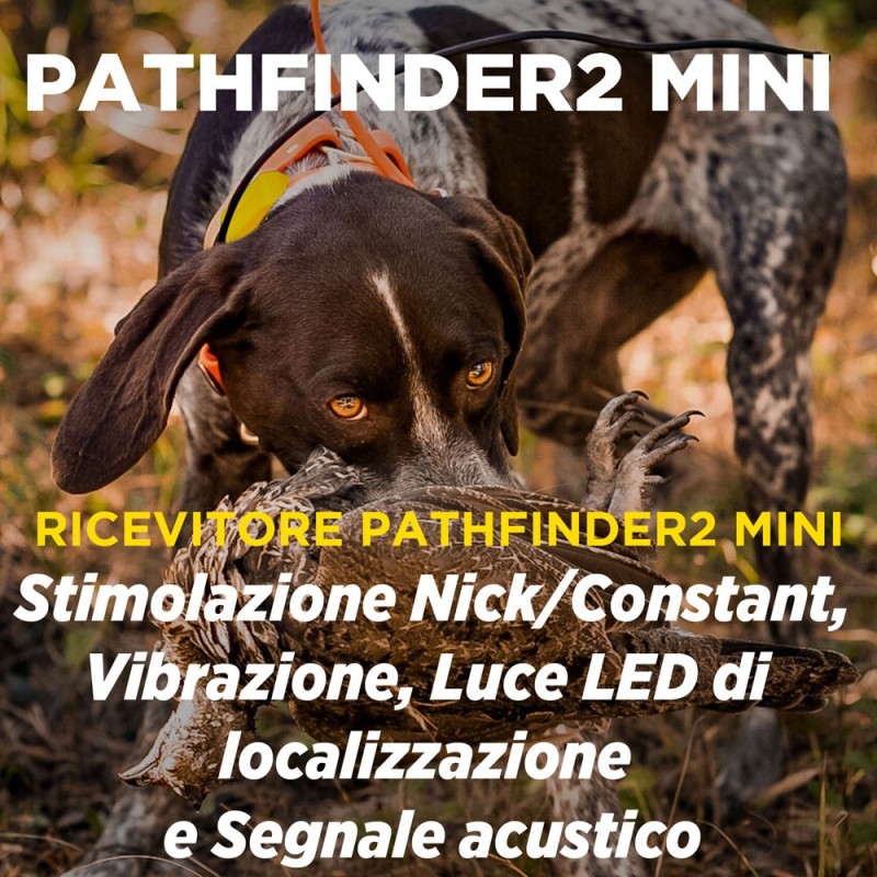 Pathfinder Mini Collier Supplémentaire