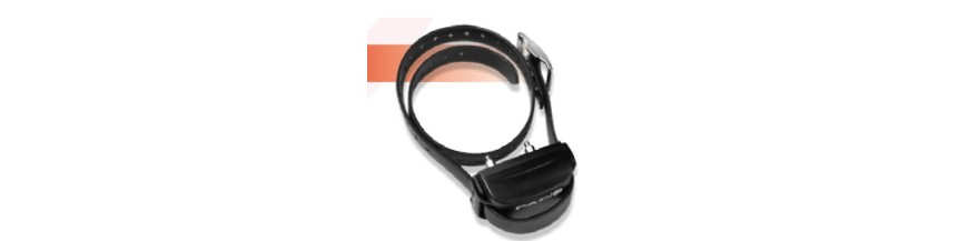 Fake Pac Dog Collars